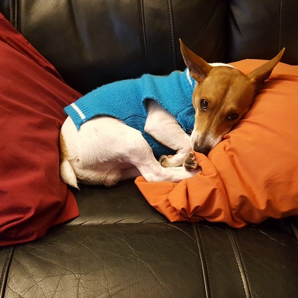 Meet your Posher, Sonya - Picture 4 of 5